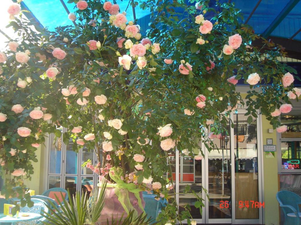 Hotel Da Giovanna Lignano Sabbiadoro Exterior photo